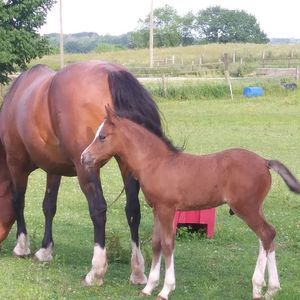 Meet your Posher, Val